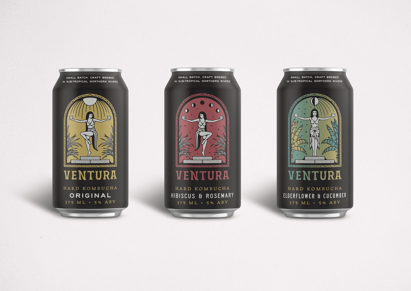 Ventura Brewing - Hard Kombucha Variety 3 pack